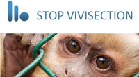 Stop Vivisection